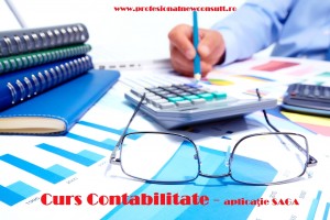 PROFESIONAL NEW CONSULT CONTABILITATE 2