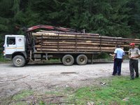 Captura de material lemnos ilegal la Leresti