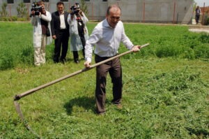 Cum vrea Boc sa „zboare” directorii PSD
