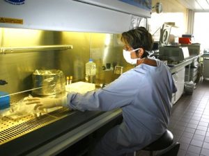 Seringile din China posibile purtatoare de virusi?