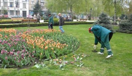 Flori furate, gasite la cimitir