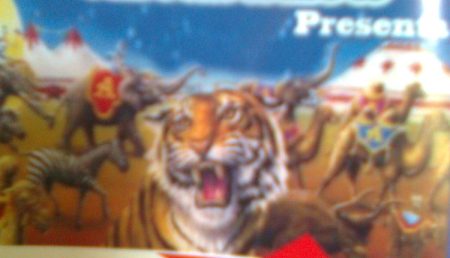 Tigri bengalezi la Stadion!