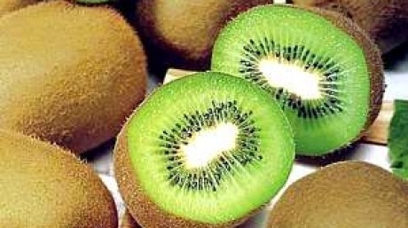 kiwi_80585500