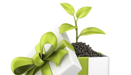 Cadourile eco, alternativa verde de Paşti