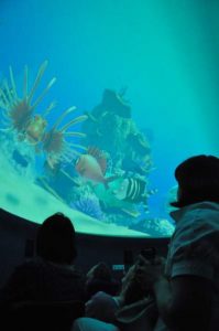 Pitestenii uimiti de noile productii 3D de la Planetariu
