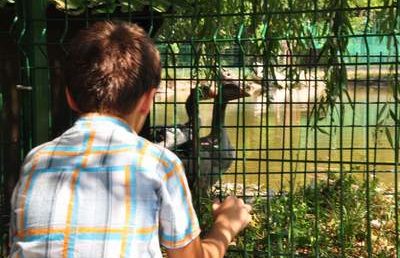 Pitestenii au venit in numar mare la Zoo