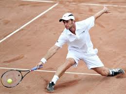 Piteşteanul Adrian Ungur joacă în Cupa Davis
