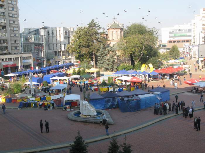 Toamna_Pitesteana_011