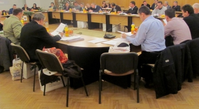 CONSILIUL_LOCAL_PITESTI_2013
