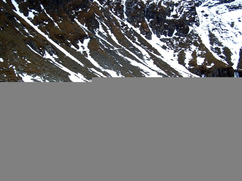 BALEA_LAC