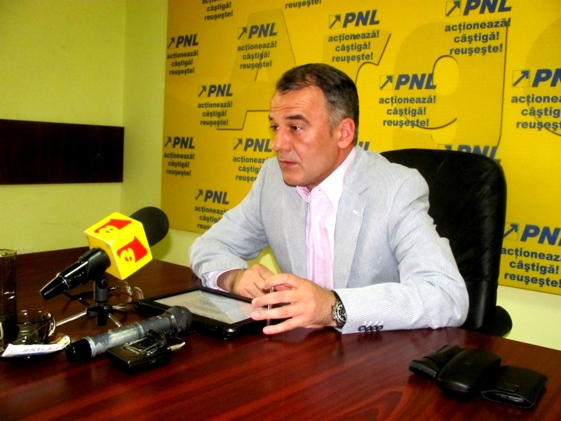 ION_POPA_2013