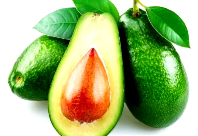 AVOCADO