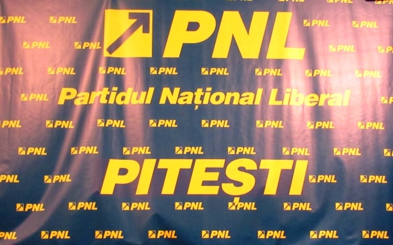 ALEGERI_PNL_PITESTI_4_MESH