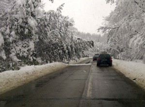 ATENȚIE, CAD BRAZI!