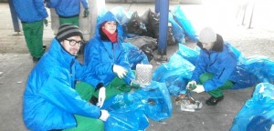 VOLUNTAR PENTRU UN MEDIU ÎNCONJURĂTOR CURAT