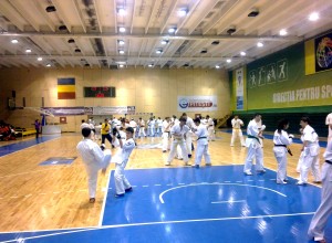 PESTE 500 DE JUDOKA, ÎN PITEŞTI