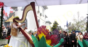 CELE MAI TARI FOTOGRAFII DE LA SIMFONIA LALELELOR