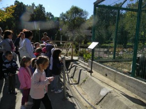 VIZITAŢI GRATIS GRĂDINA ZOOLOGICĂ DIN PITEŞTI!
