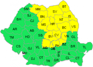 CODUL GALBEN DE PLOI, PRELUNGIT