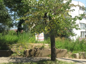 ALO! PRIMĂRIA! NU VEDE NIMENI MIZERIA DIN SPATELE MUZEULUI JUDEŢEAN?