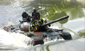 SPECTACULOS! ZIUA TANCHIȘTILOR, ANIVERSATĂ ÎN PITEȘTI!
