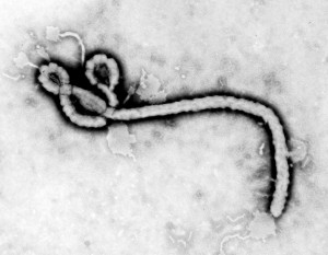 ALERTĂ! VIRUSUL EBOLA AR PUTEA FI PREZENT ÎN ROMÂNIA!