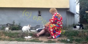 AU LUAT LOCUL HAITELOR DE MAIDANEZI! SUNT PUZDERIE ÎN PITEȘTI!