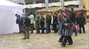COADĂ ÎN PIAȚA „MILEA”! VEZI GALERIE FOTO!