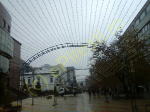 PLASĂ DE BECURI ORNAMENTALE PE STRADA MARE