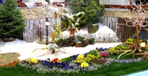 PREMIERĂ LA SIMFONIA LALELELOR: CONCURS DE ARANJAMENTE FLORALE