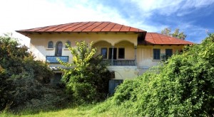 RUȘINE! STATUL DĂ CU FLIT CASEI MEMORIALE ION MIHALACHE
