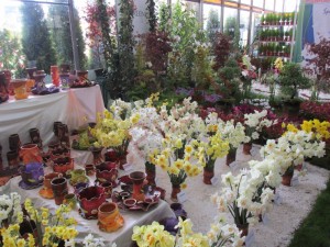 CEL MAI FRUMOS STAND DE LA SIMFONIA LALELELOR