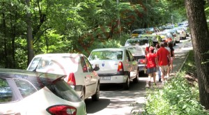 BULUC DE LUME AZI LA ZOO ÎN PĂDUREA TRIVALE (GALERIE FOTO)