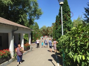 Anunț de ultimă oră! Ce se întâmplă cu Grădina Zoologică Pitești