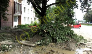 SCANDALOS! PRIMĂRIA ARE LIBER LA DISTRUGEREA SPAȚIULUI VERDE
