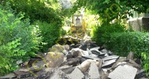 PRIMĂRIA ANUNȚĂ: ÎN PITEȘTI VOR FI PLANTAȚI TEI, PLATANI ȘI MAGNOLII