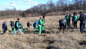 MIOVENI: CAMPANIE DE PLANTĂRI DE PUIEȚI