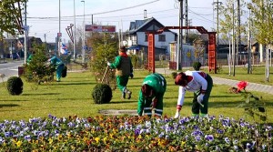 SĂ ÎNVERZIM ORAŞUL MIOVENI! CAMPANIE DE PLANTARE