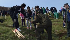 ORAȘUL VERDE – CAMPANIE DE PLANTĂRI AZI ÎN MIOVENI