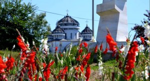 MESAJ DE LA PRIMARUL ORAȘULUI MIOVENI