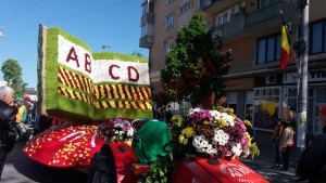 ÎNCEPE SIMFONIA LALELELOR! PRIMELE FOTOGRAFII