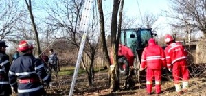 PERICOL ÎN PĂDUREA TRIVALE