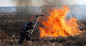 ARGEŞ: INCENDII VIOLENTE