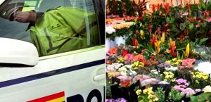 FLORĂRII DIN PITEȘTI, AMENDATE