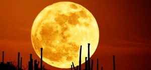 SPECTACULOS! SUPER LUNA