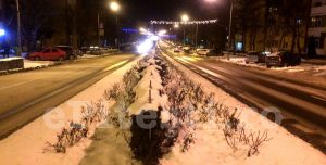 SURPRIZĂ PE CALEA BUCUREŞTI