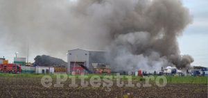 INCENDIU VIOLENT LA HALĂ. FUM GROS