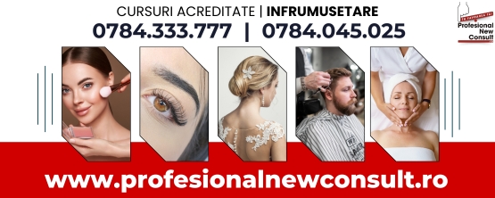 New Profesional Consult-555×222