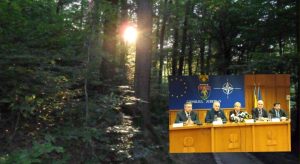 SALVAȚI PĂDUREA TRIVALE! PITEȘTI: MINISTRUL O „SCALDĂ”