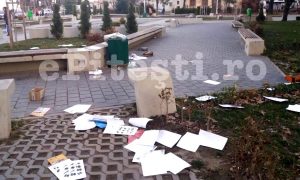 PEDEPSE PENTRU VANDALI ÎN PITEȘTI